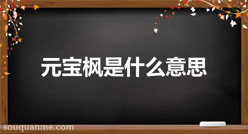 元宝枫是什么意思 元宝枫的读音拼音 元宝枫的词语解释